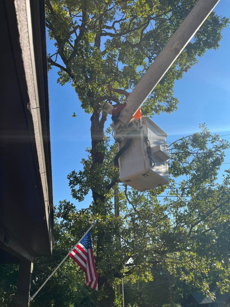 Our professional Tree Removal service safely and efficiently eliminates unwanted trees from your property, enhancing safety, aesthetics, and overall landscape health. Contact us today for a free consultation. for H n H Tree Service in Taneyville, MO