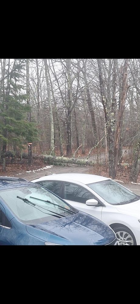 All Photos for 207 Seasonal Services  in Brewer, ME