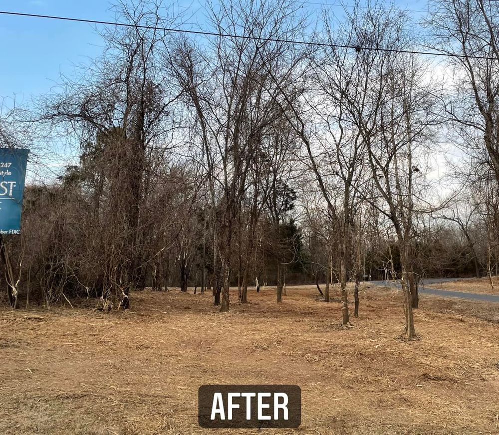 Pasture Reclamation for Bass Land Management in Yellville, AR