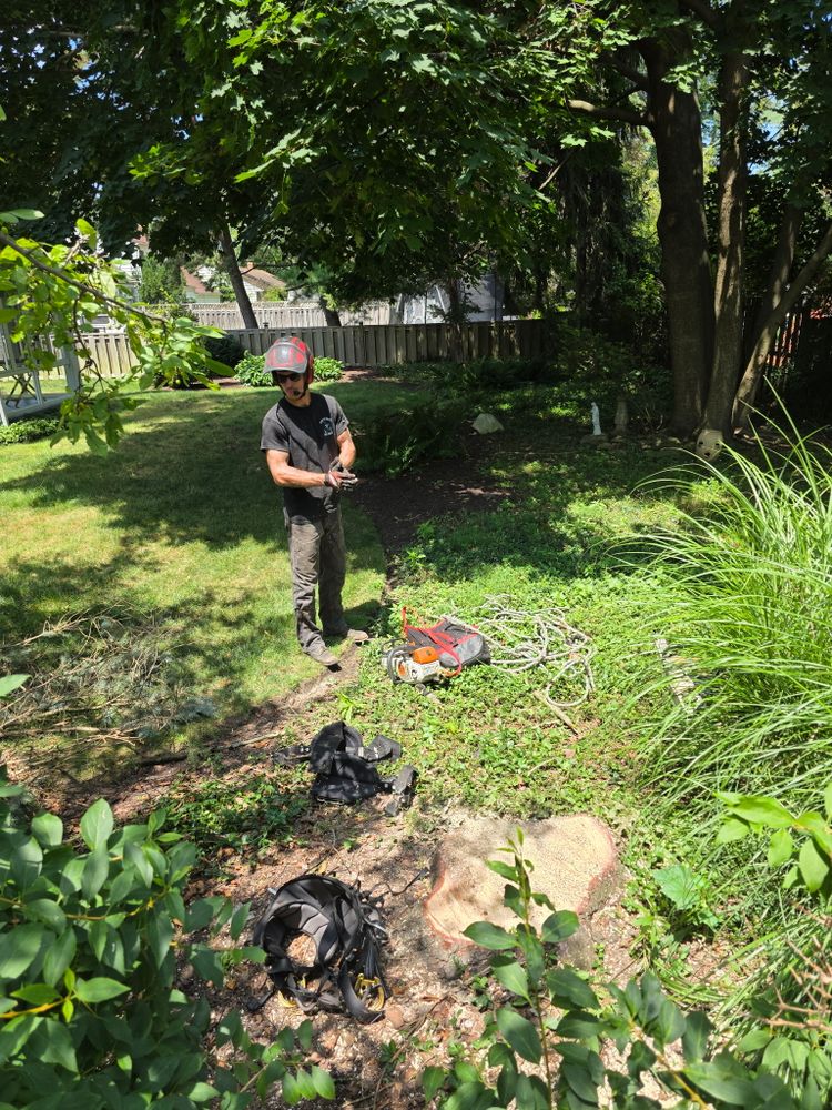 All Photos for Down To Earth Tree Service, LLC in Westlake, OH