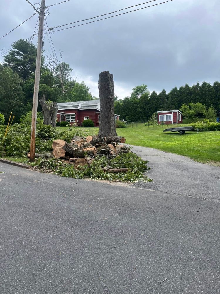 Tree Removal for Harley’s Tree Service in Palmer, MA
