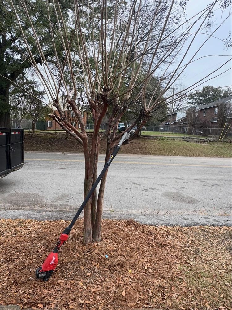 All Photos for Shang's Landscaping Service in Columbia, South Carolina