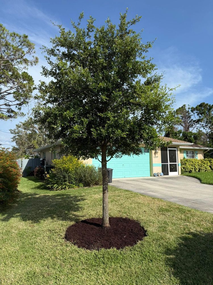 All Photos for MX Trees in Englewood, FL