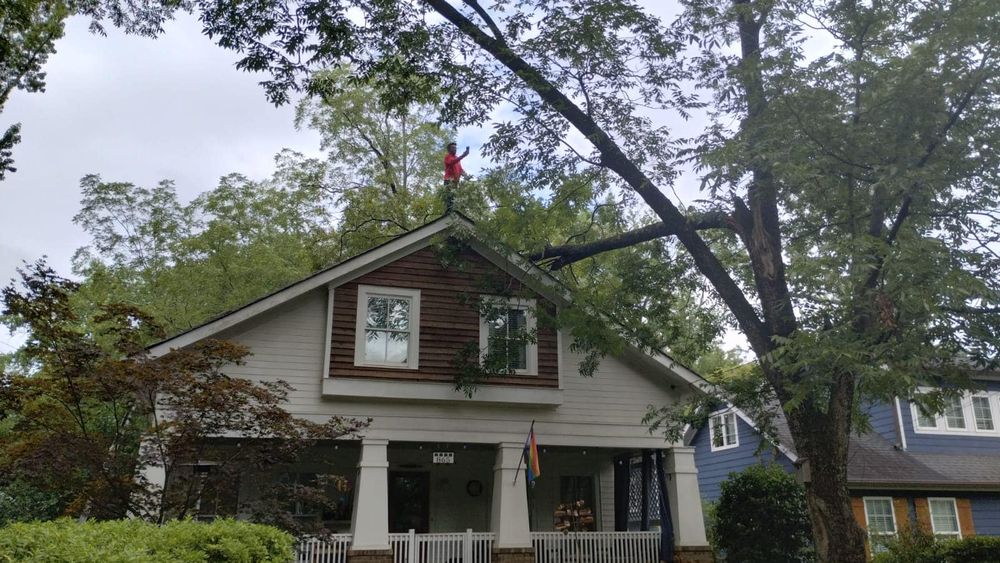 Tree Removal for Bulldawg Disaster Response in Atlanta, GA