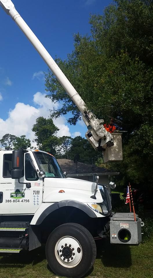 All Photos for Daniel Hickey’s Tree Service in DeLand, FL