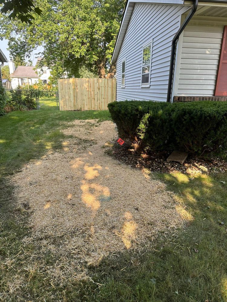 All Photos for LP Dumpsters in Galesburg, MI