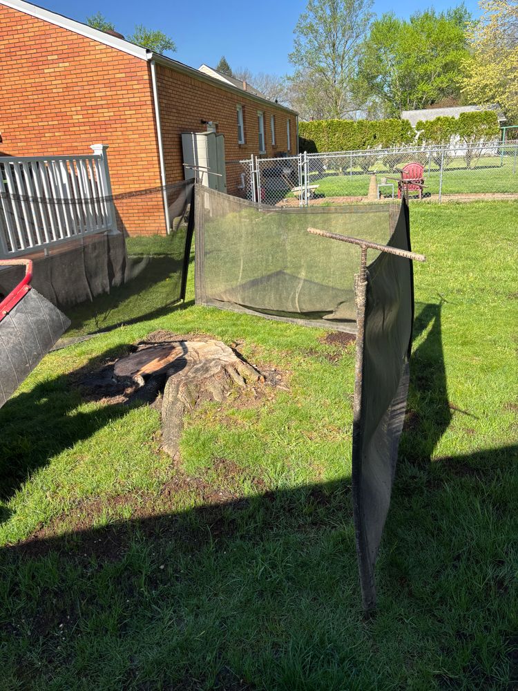 All Photos for Dean's Stump Removal in Youngstown, OH