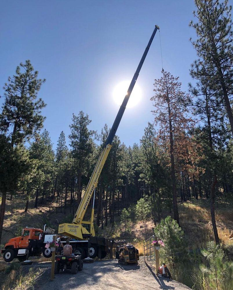 All Photos for AP Tree Service in Colbert, WA