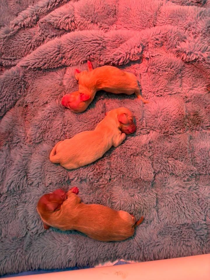 All Photos for Falls Property Services  in Idaho Falls, ID