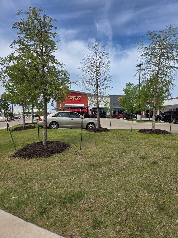 All Photos for RACSO RDZ LLC in McKinney, TX