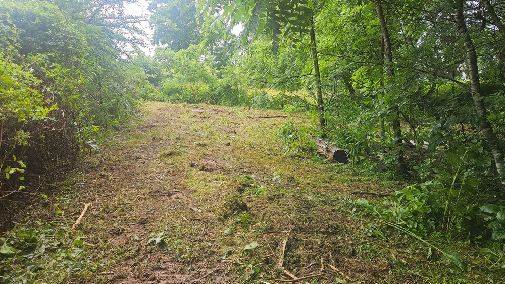 All Photos for B&B Land Management in Jamestown, TN