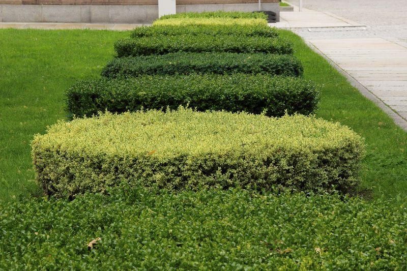 All Photos for Terra Heights Tree Experts & Landscaping  in Grass Valley,  CA