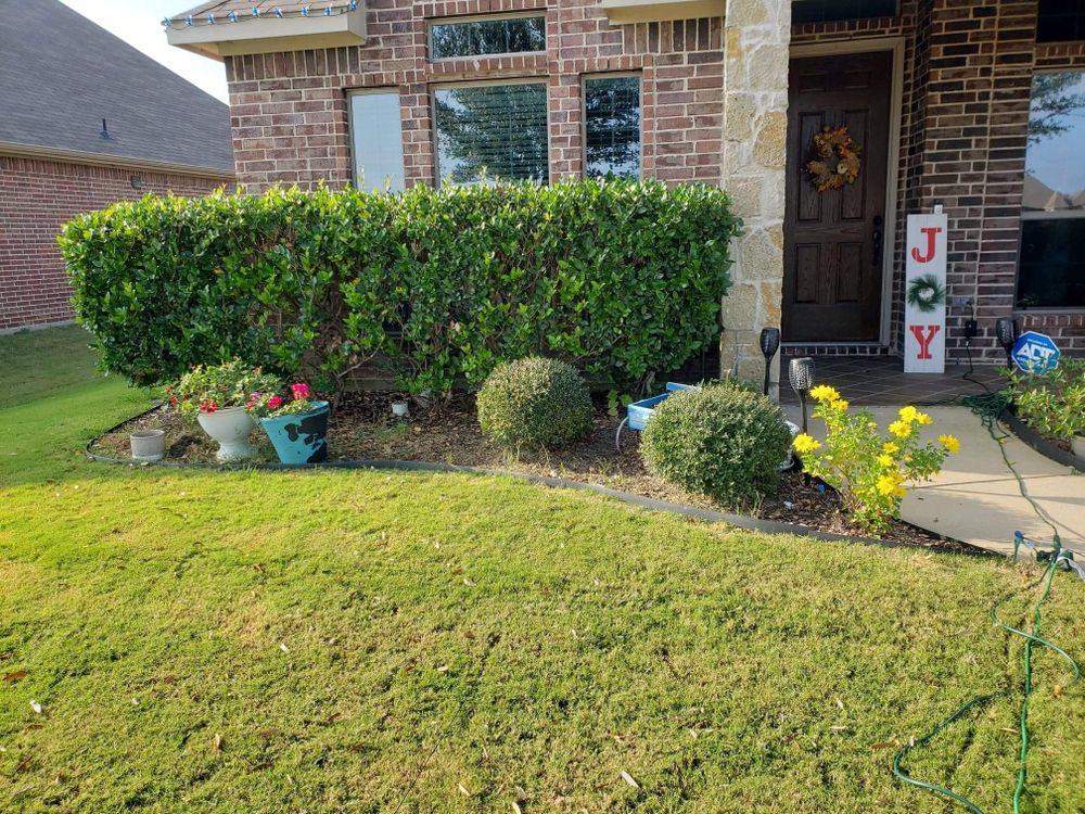 All Photos for Paquito's Landscaping in Ellis County, TX