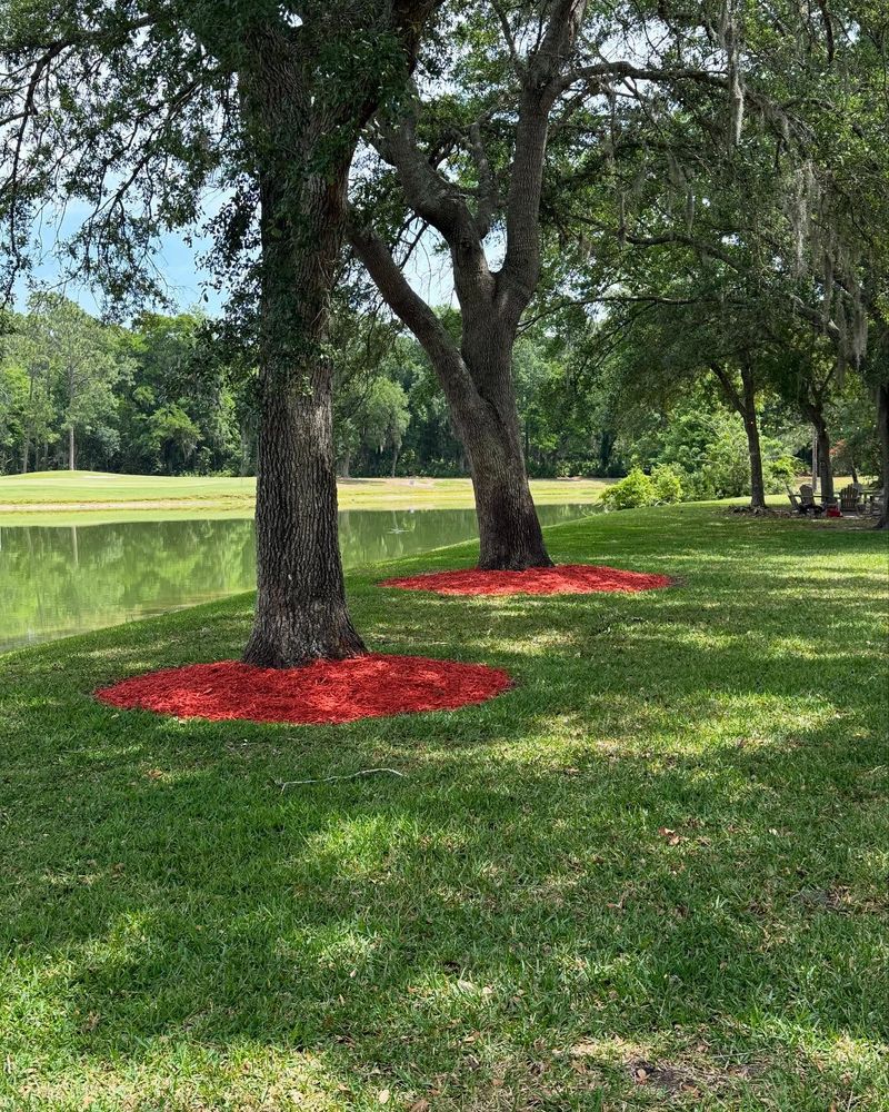 Our Fall Clean Up service ensures your yard is ready for winter, with leaf removal, debris clearing, and seasonal plant care to maintain a tidy and healthy landscape all season long. for Whole 9 Yards Services in Green Cove Springs, FL