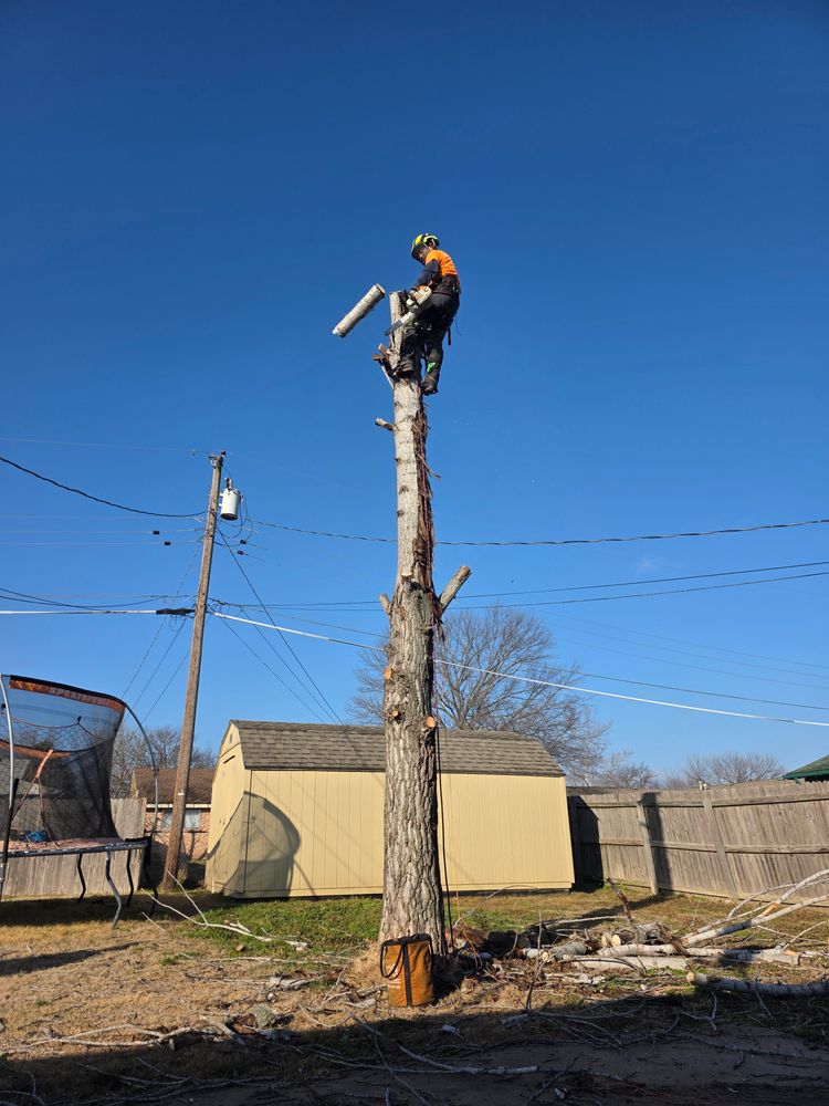 All Photos for Oklahoma Tree Guy in Bartlesville, OK