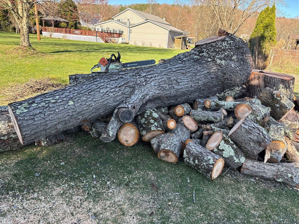 All Photos for Brax Forestry in Endicott, NY
