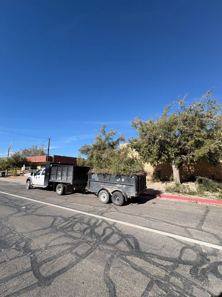 All Photos for Top Notch Landscape Services LLC in Mohave Valley, AZ