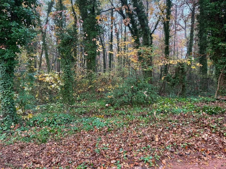 All Photos for Down South Tree Care and Landscaping in Maiden, NC