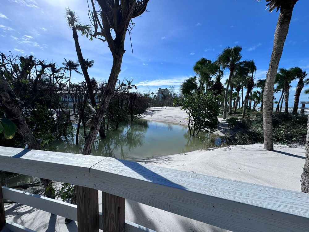 All Photos for McLeran in Naples, FL