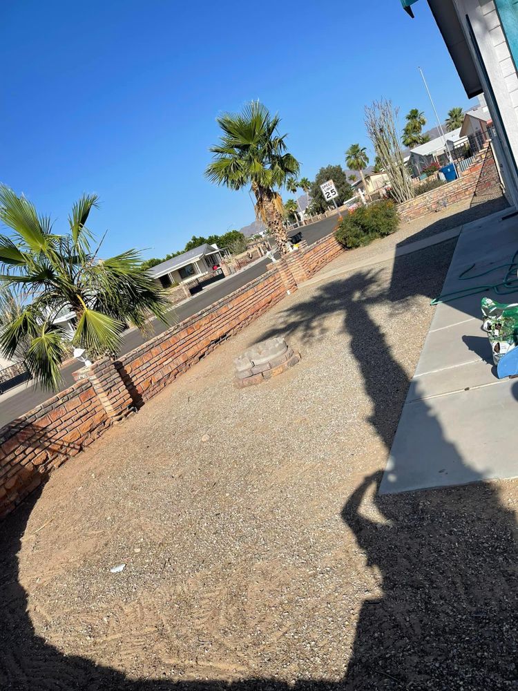 All Photos for Oliver L. Palm & Tree services in Yuma County, AZ