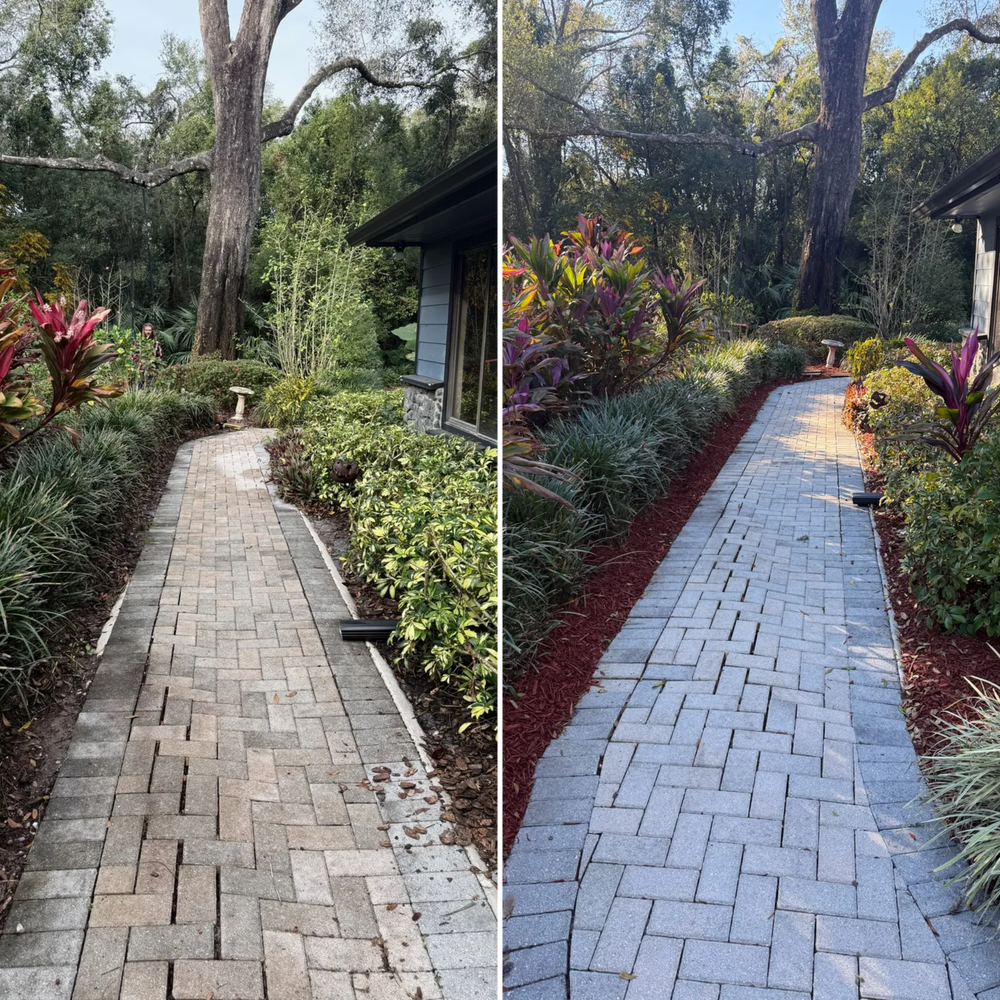 All Photos for Amerigrown Tree And Lawn in Apopka, FL