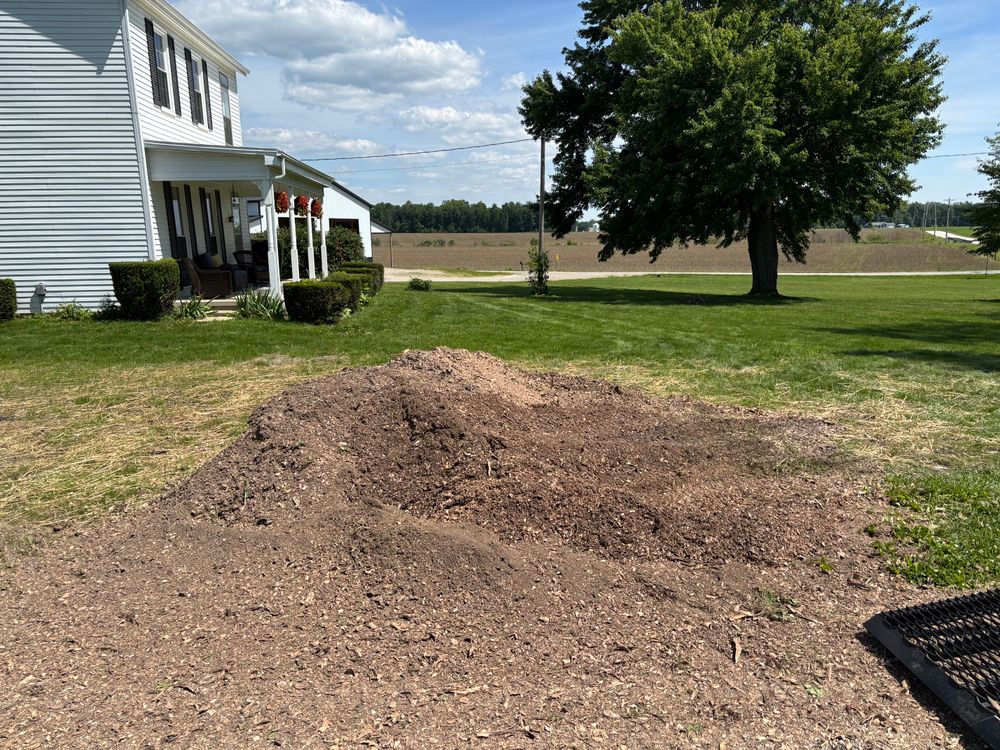 All Photos for Conrad's Stump Removal in Columbus, IN
