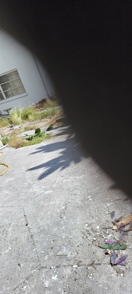 All Photos for Millenium Construction & Property Management in Tampa, FL