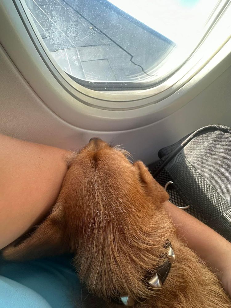 All Photos for A+ Cleaning and Services LLC in Deep Creek Lake, MD 