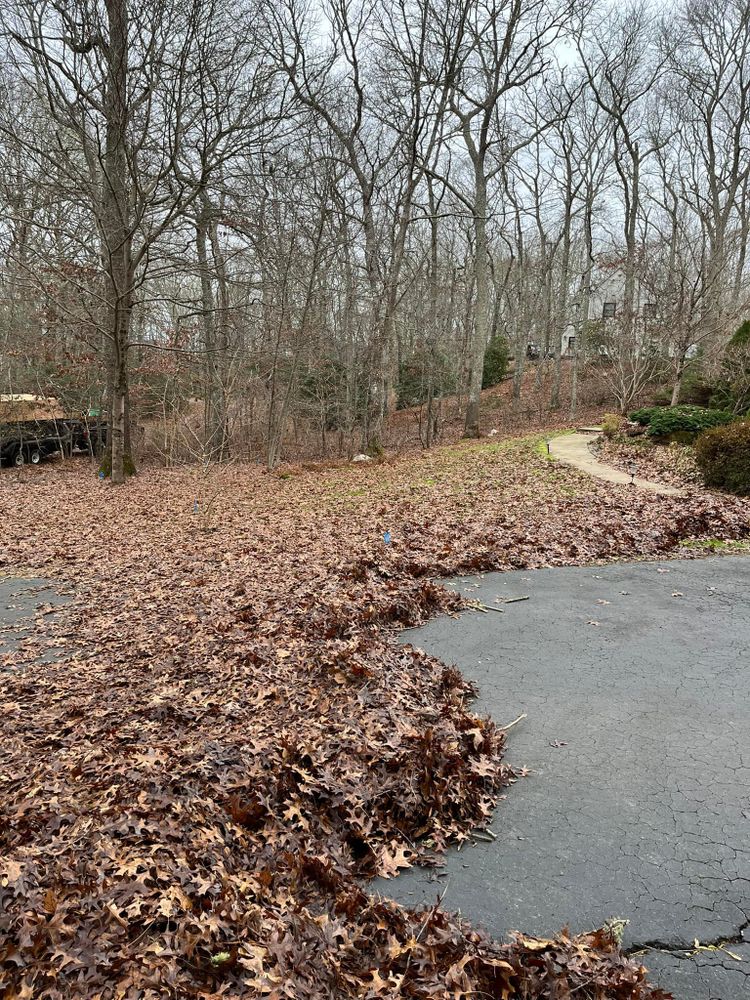 All Photos for Evolution Landscaping and Construction  in Charlestown, RI