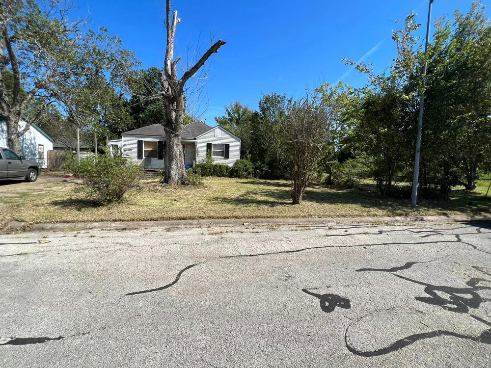 Tree Trimming for Bobby’s lawn services in Baytown, TX