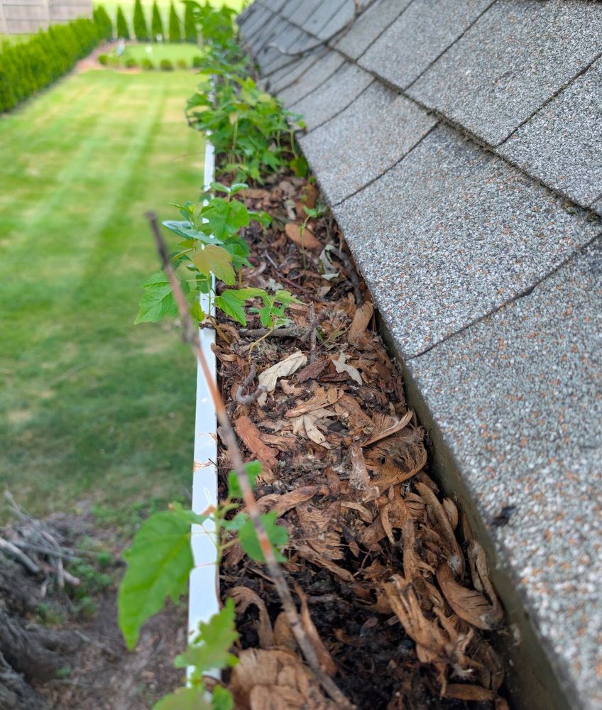 All Photos for Kingdom Power Washing & Window Cleaning in Flushing, MI