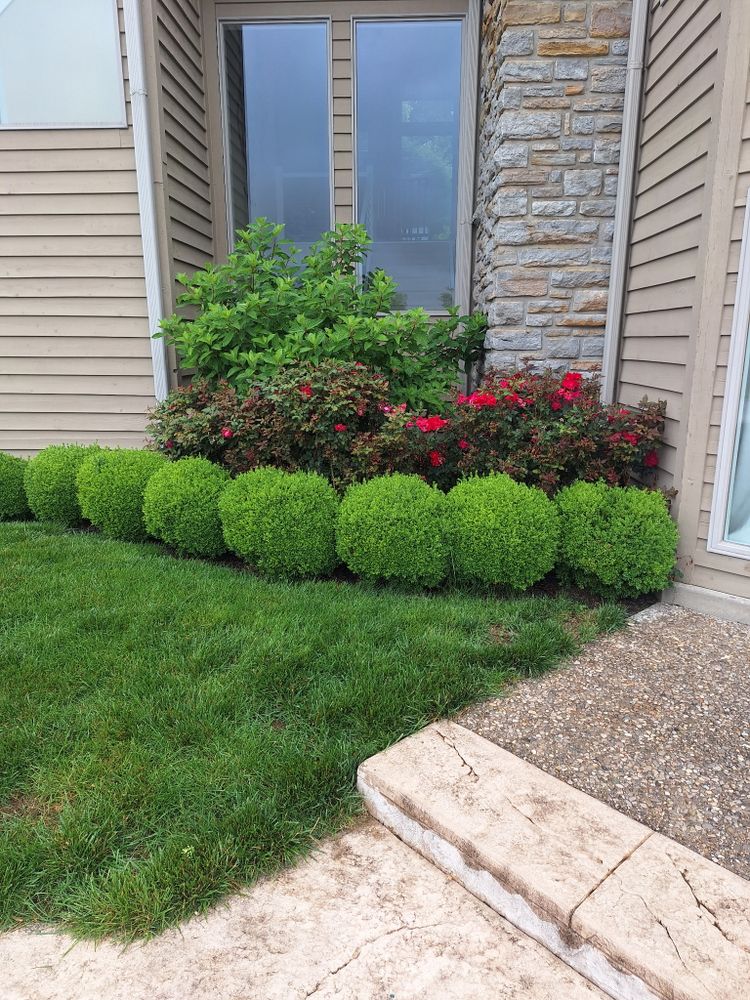 All Photos for Cincinnati’s Finest Landscape Services LLC in Cincinnati, OH