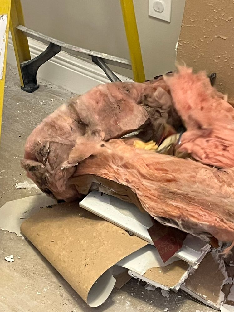 All Photos for Surplus Public Adjusters in Miami-Dade County, FL