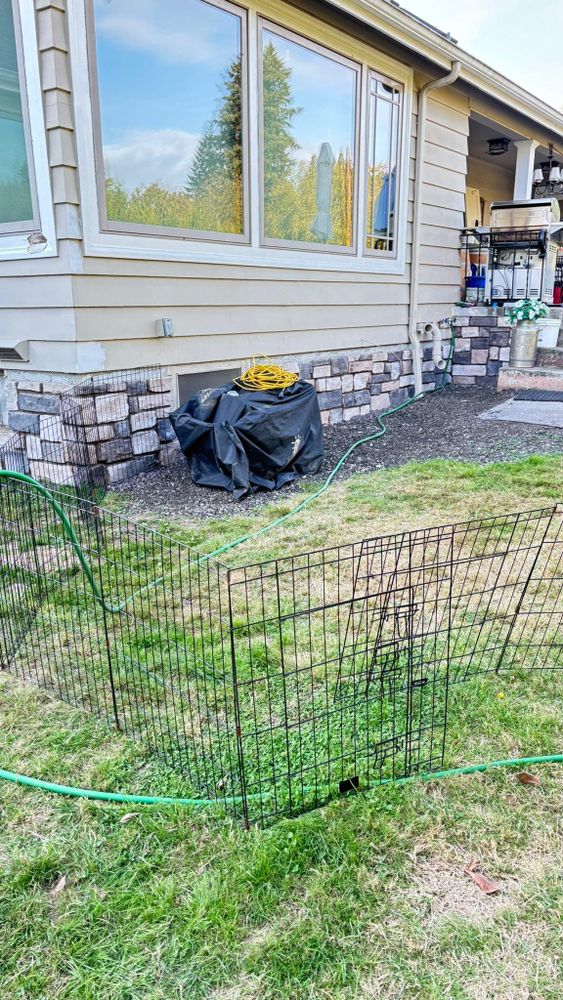 All Photos for MAG Stone and Brick Restoration in Everett, WA