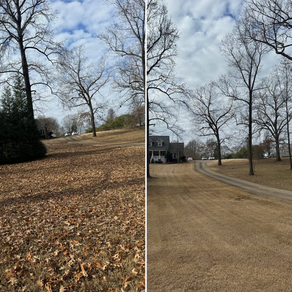 All Photos for Kelso's Lawn Maintenance in Jackson, TN