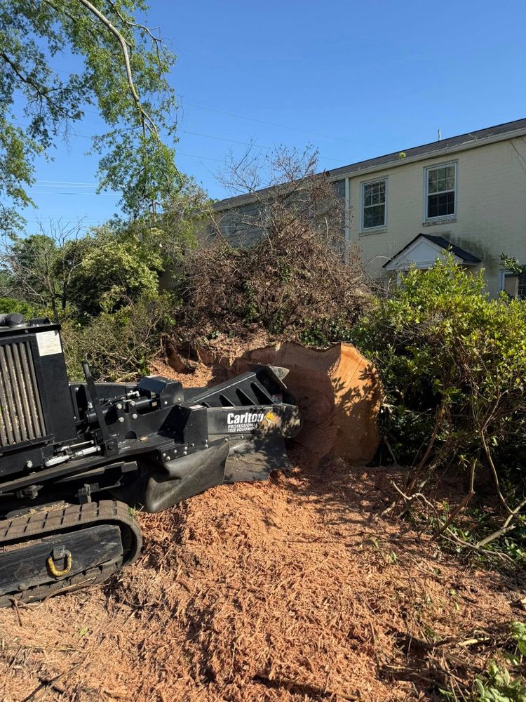 All Photos for Dozier Stump Grinding in Augusta, GA