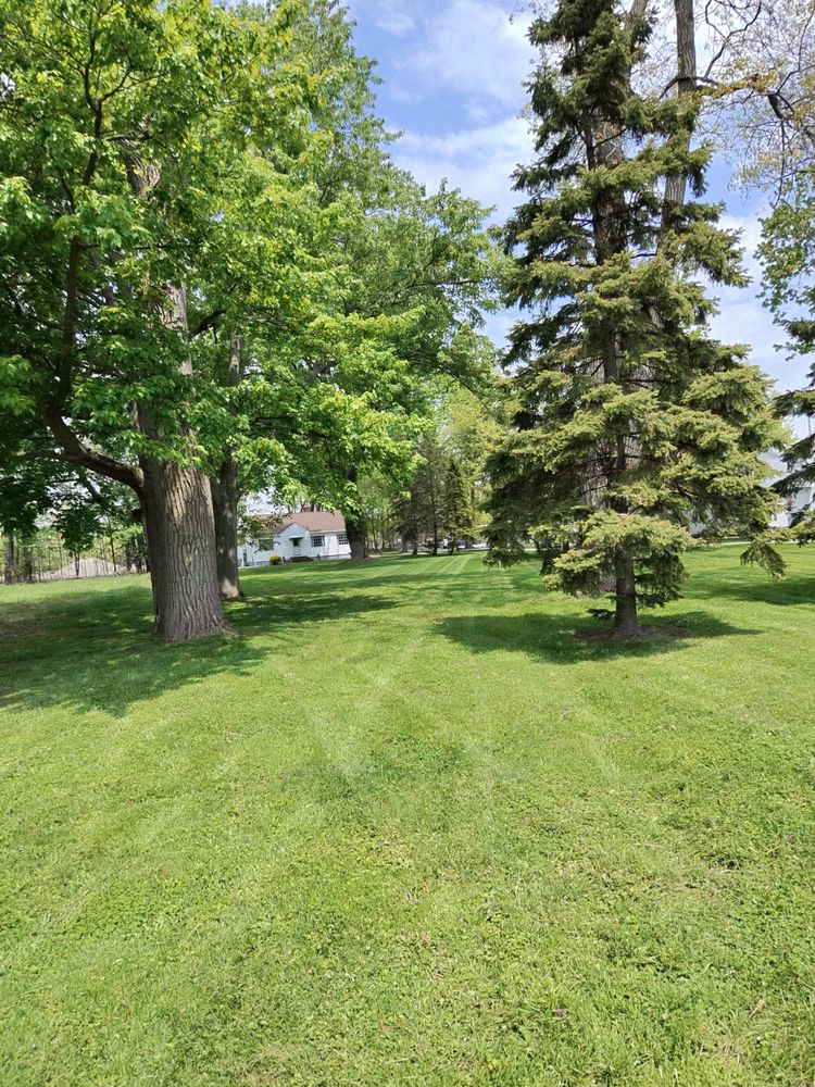 All Photos for Yard Theory in Willowick, OH