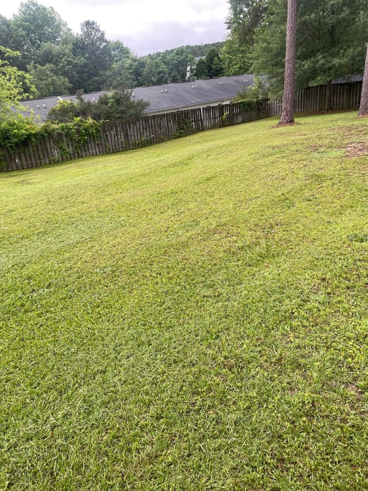 Our fall and spring clean up service revitalizes your property, removing debris and preparing your landscape for the season ahead, ensuring a pristine outdoor environment that enhances curb appeal. for Sparks Landscaping in Augusta, GA