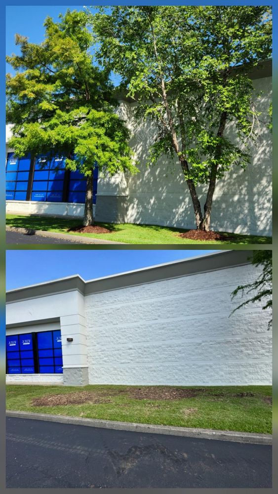 All Photos for Ken's Elite Cutters LLC  in Breaux Bridge, LA