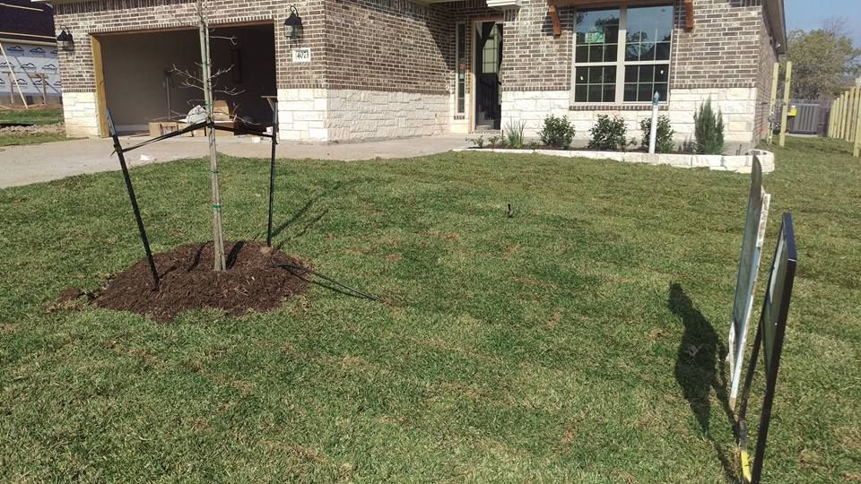 Landscaping & Hardscaping for Brazos Valley Greenscapes in College Station, TX
