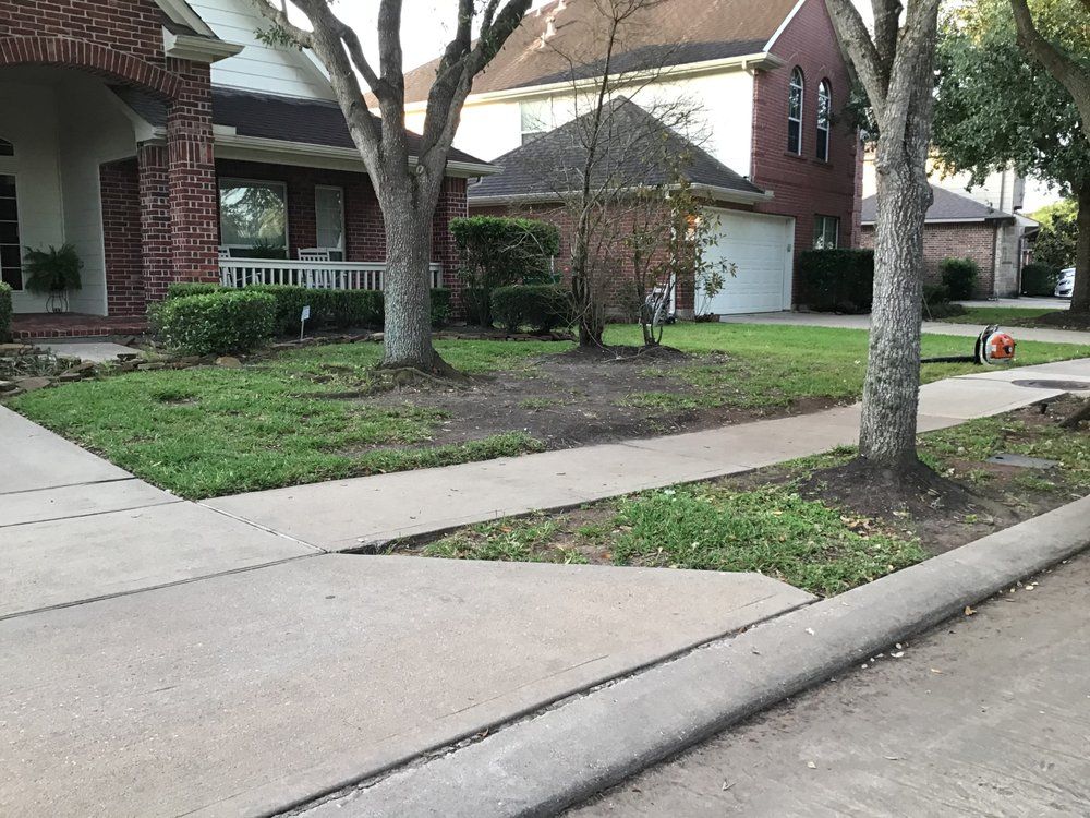 Our Tree Removal service provides safe, efficient removal of hazardous or unwanted trees, using experienced professionals and modern equipment to ensure your property remains beautiful and free from potential damage. for Greenfield Tree Services in Manvel, TX