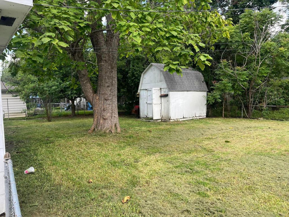 All Photos for Bobby’s lawn services in Baytown, TX