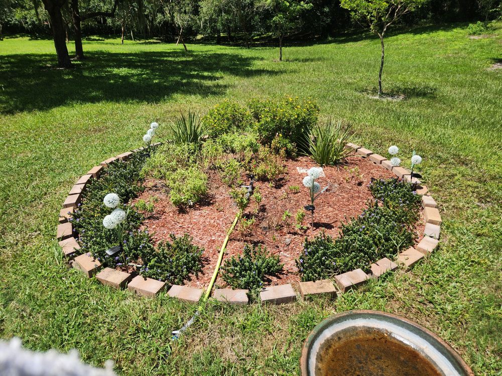 All Photos for Nate the Garden Guru in Orlando, FL