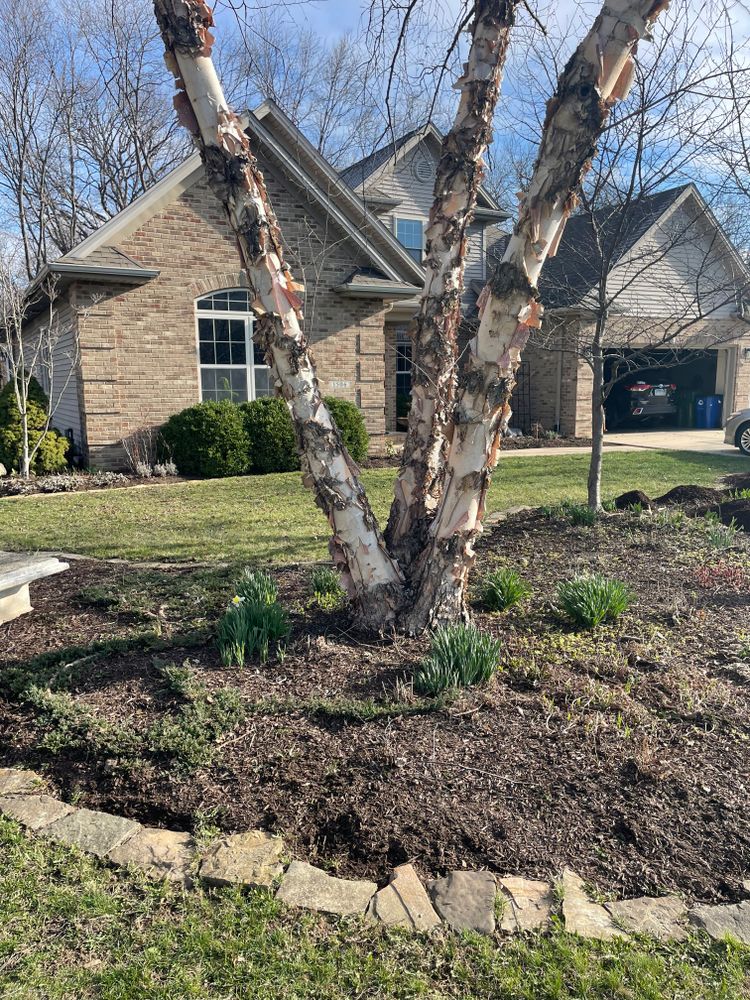 All Photos for MDR Landscaping in Urbana, IL