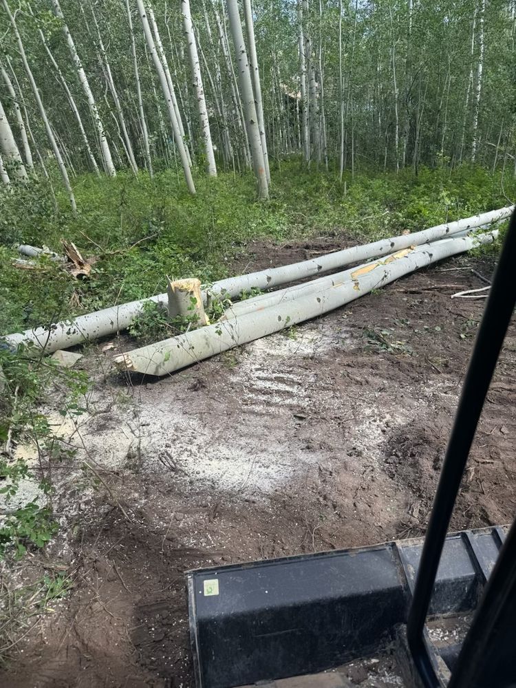 All Photos for Hansen Earth Works in Jackson, WY
