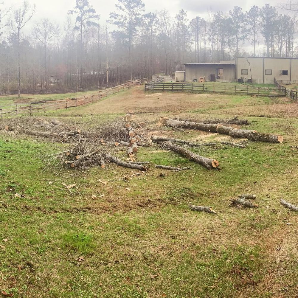 Our professional tree removal service ensures safe and efficient elimination of unwanted or hazardous trees, enhancing your property's safety and aesthetics while protecting surrounding landscapes from potential damage. for Kingdom Tree Cuts in Birmingham, AL