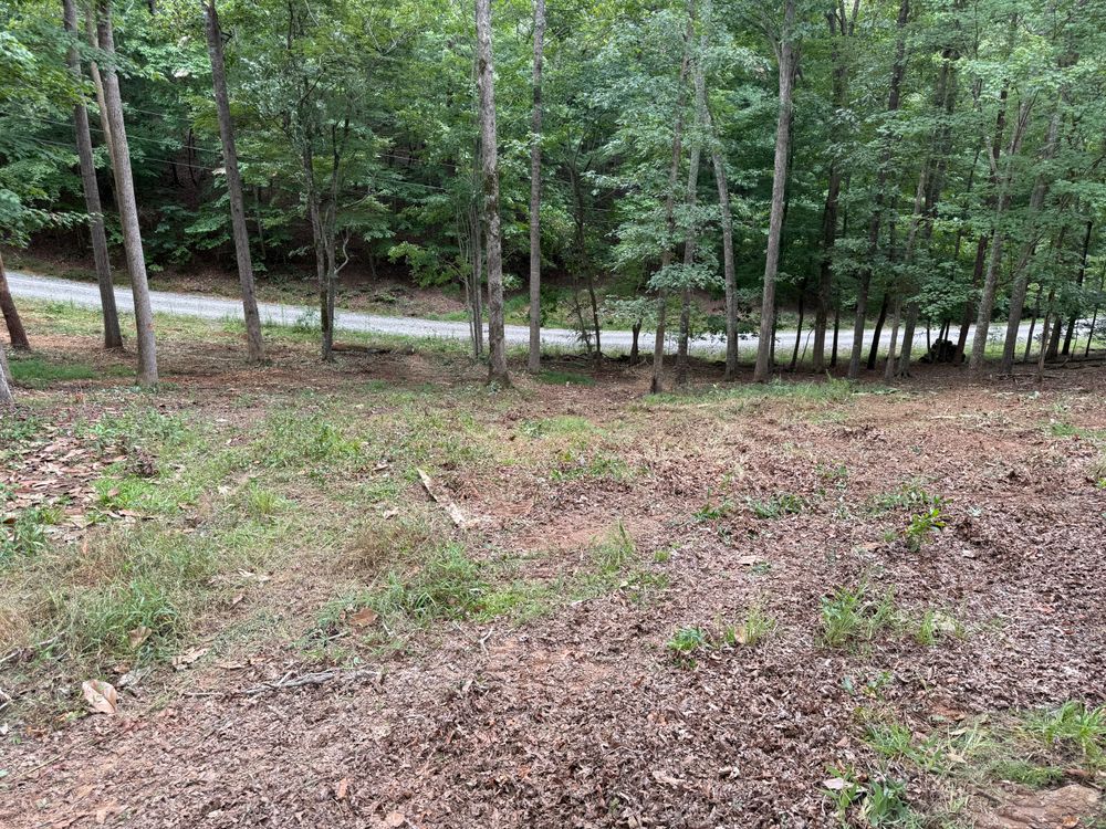 All Photos for T Crane Grading LLC in Clarkesville, GA