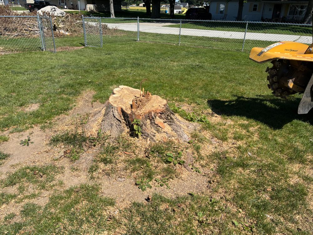 All Photos for Conrad's Stump Removal in Columbus, IN