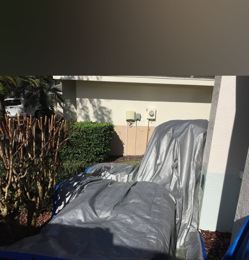 All Photos for Blue Stream Roof Cleaning & Pressure Washing in Tampa, FL
