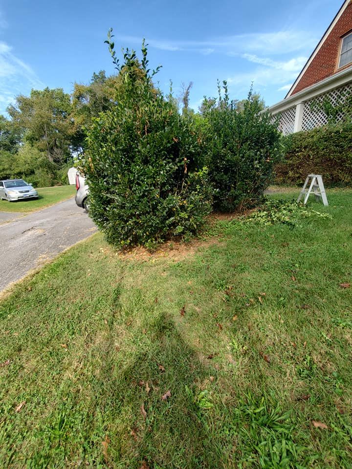 Enhance your home's curb appeal with our expert shrub trimming service, ensuring neatly shaped bushes that contribute to a well-maintained and beautiful landscape for your property. Satisfaction guaranteed with professional care. for Fields Lawn Care in Appomattox, VA